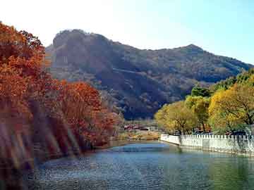 正版澳门天天开彩大全，北京到上海物流